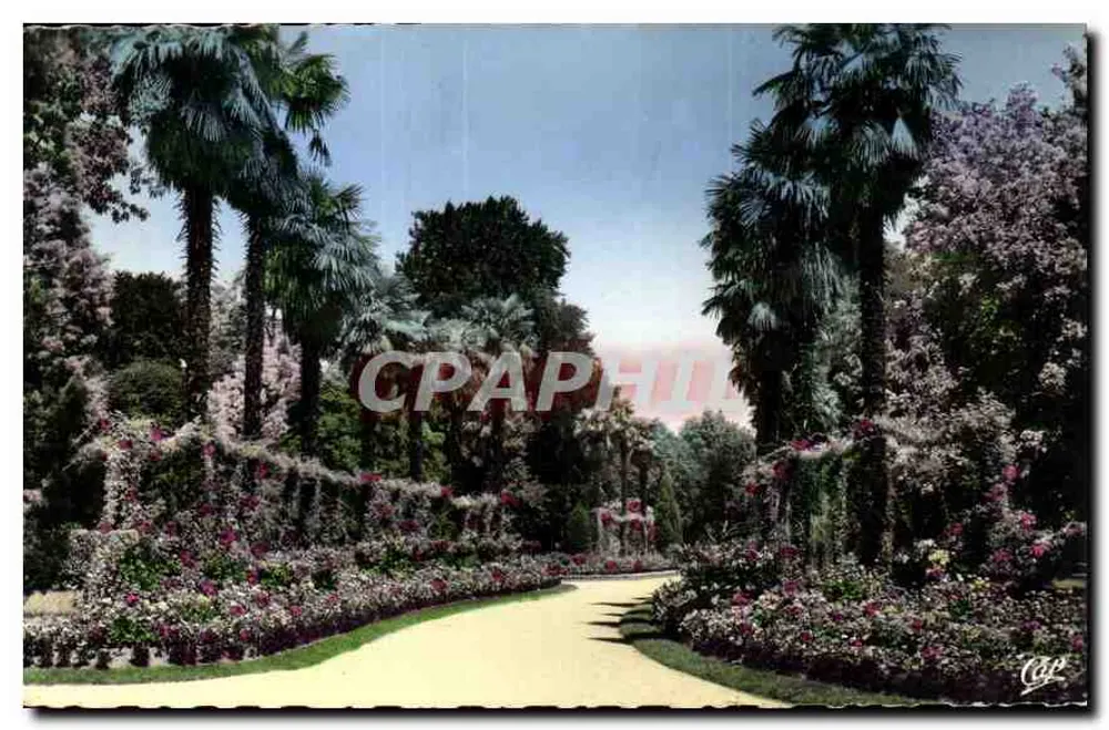 Die Palmengasse des Parks Massey — Tarbes — Réal-Photo - Vorderseite
