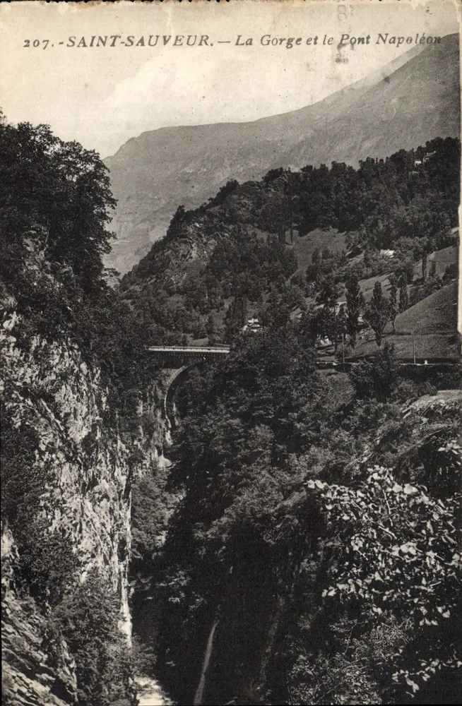 Saint-Sauveur — Die Schlucht und der Napoleonbrücke — Edition Quinault, Nr. 207 - Vorderseite