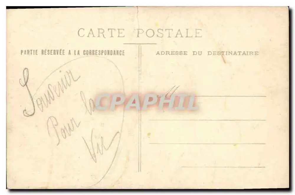 Cão pastor alemão — retrato em ovale — carta postal - Verso