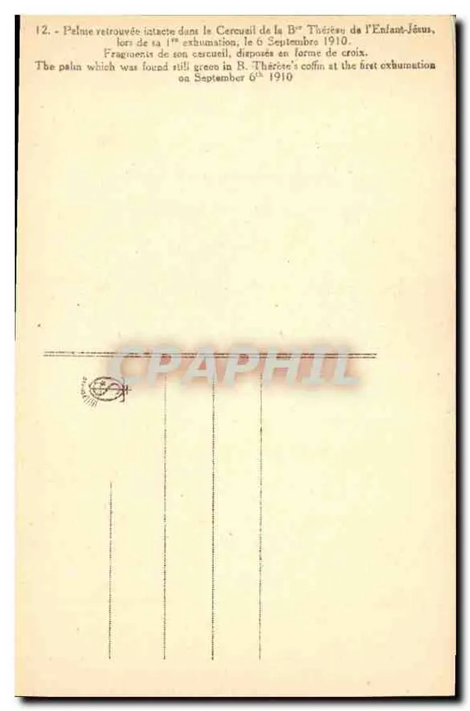 Palmenzweige, die in der Leiche von B. Thérèse de l'Enfant-Jésus gefunden wurden — 6. September 1910 — Verlag nicht sichtbar - Rückseite
