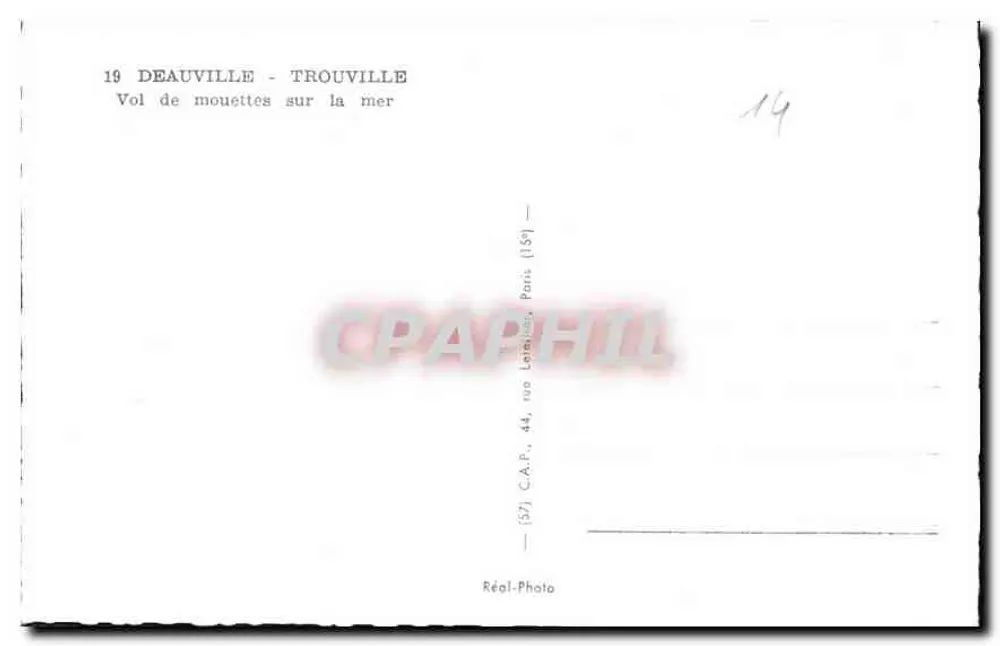 Deauville - Trouville — Flug der Möwen über das Meer — C.A.P., Paris - Rückseite