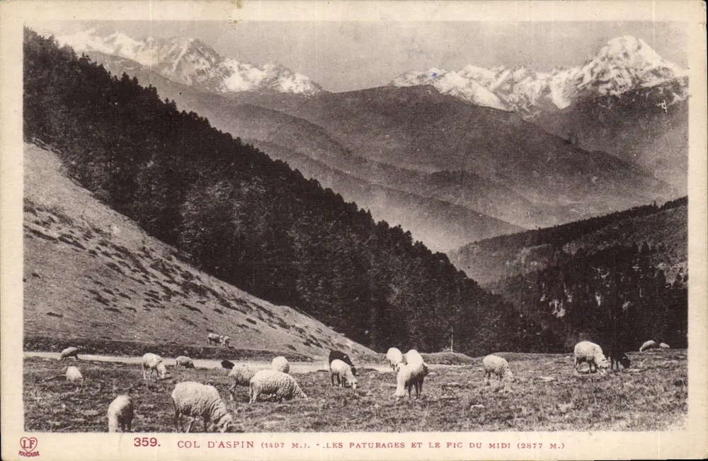 Col d'Aspin (1497 m.) — Die Weiden und der Pic du Midi (2877 m.) — Phototypie Labouche frères, Toulouse, Nr. 359 - Vorderseite