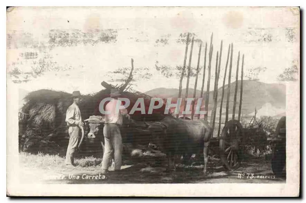 Tenerife. Ein Wagen — Verleger: M. 73. Mearphes - Vorderseite