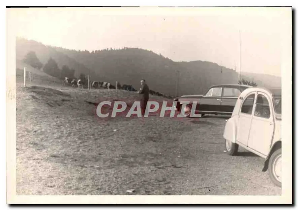 Col des Bagenelles (03) — Bergblick mit Autos und Kühen — kein Verlag oder Seriennummer sichtbar - Vorderseite