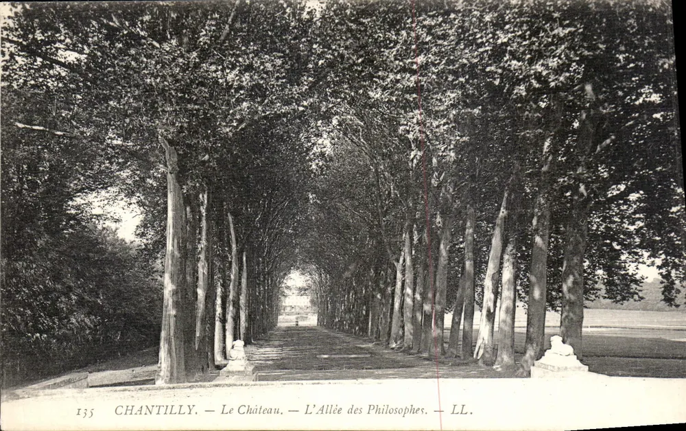 Chantilly — Das Schloss — Die Allee der Philosophen — LL. — n° 135 - Vorderseite