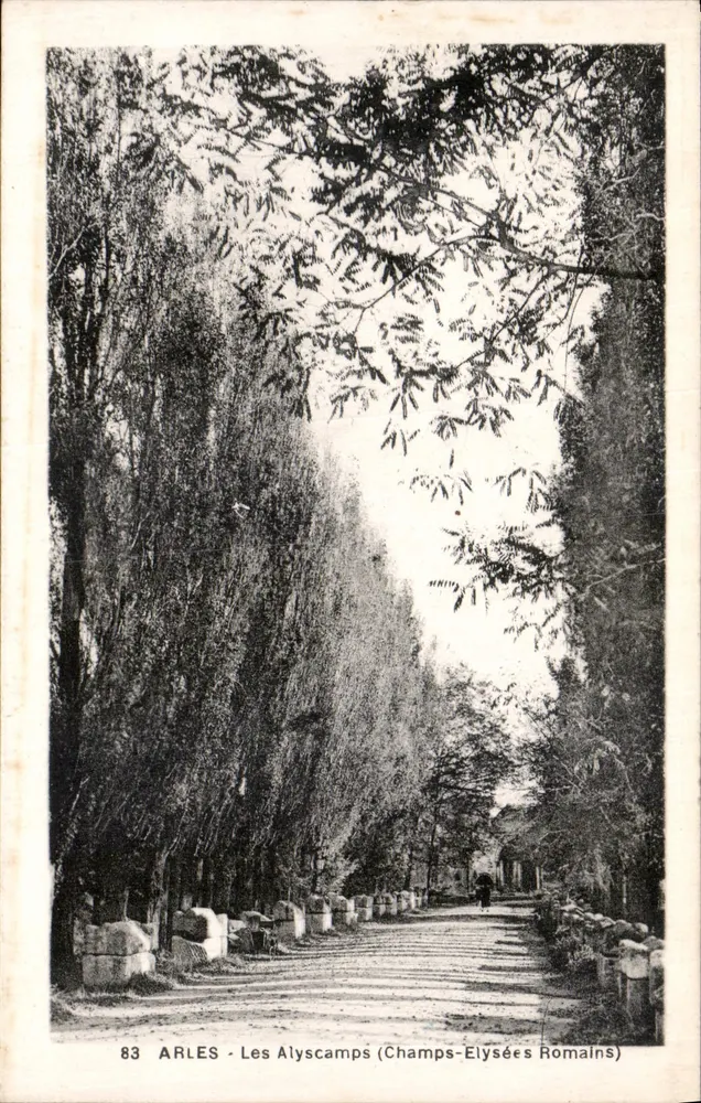 Arles - Os Alyscamps (Champs-Elysées Romanos) — editor J. Georges, n° 83 - Frente
