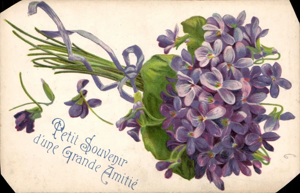 Bouquet de violettes — Petit Souvenir d'une Grande Amitié — Carte postale - Anverso