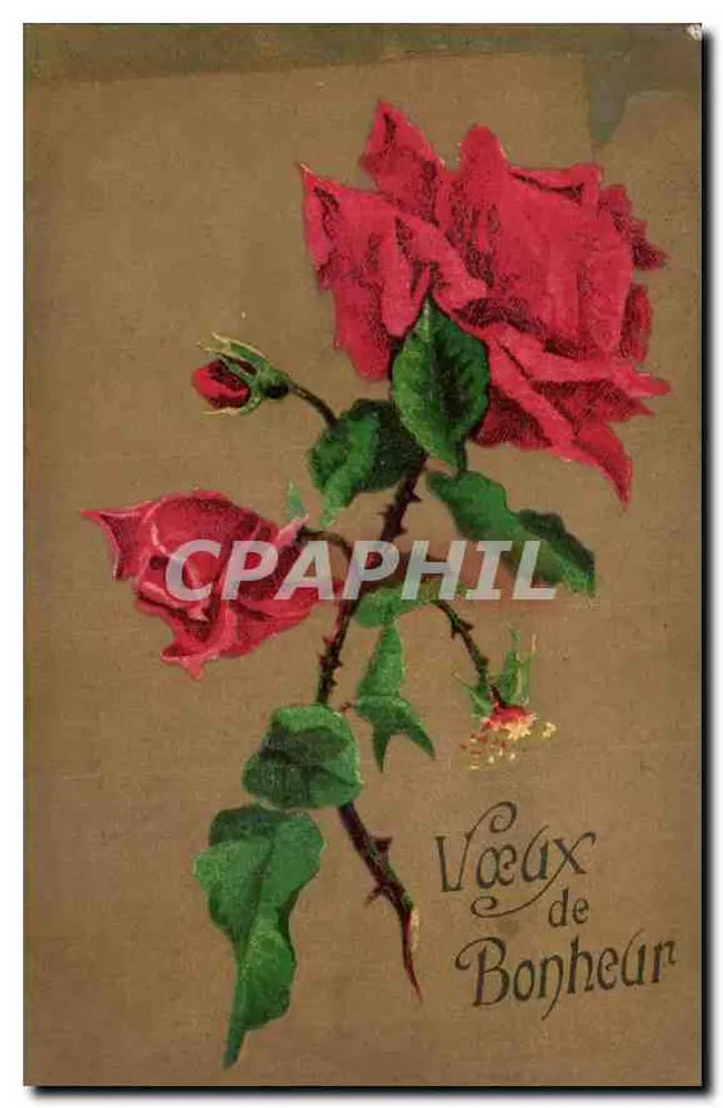 Roses — Desejos de Felicidade — sem editor nem número visível - Frente