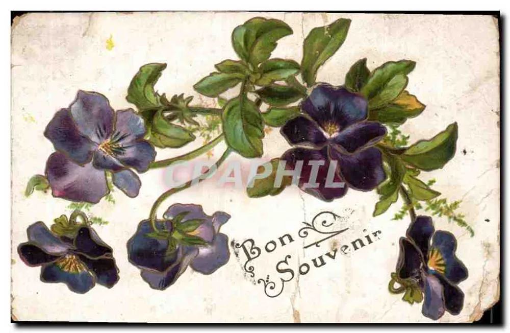 Pansies — Bon Souvenir — sem editor e número visíveis - Frente