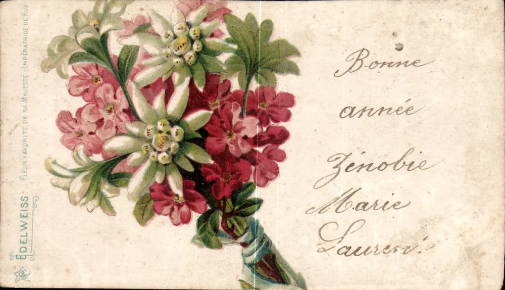 Arranjo de flores — Flor favorita de Sua Majestade a Imperatriz da Rússia — Delweiss - Frente