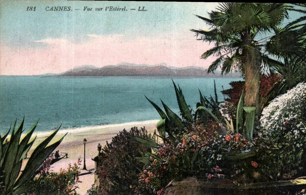 CANNES — Vista sobre o Estérel — LL. — N° 181 - Frente