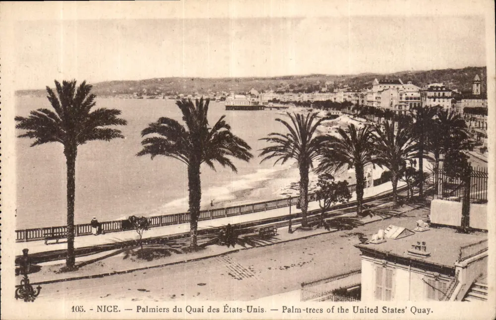 Nice — Palmen am Quai des États-Unis — n° 105 - Vorderseite