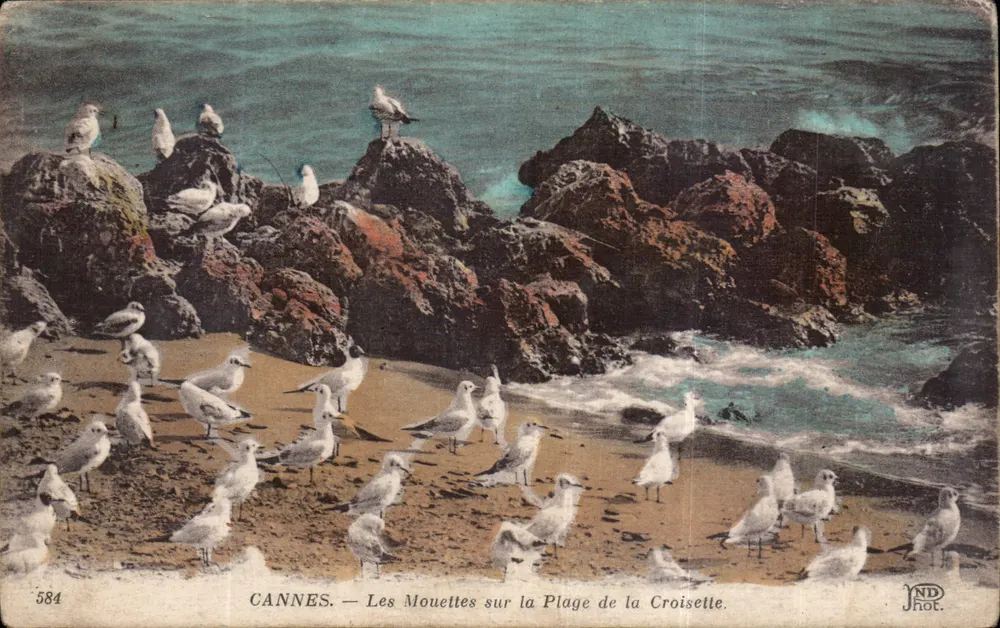 CANNES — Les Mouettes sur la Plage de la Croisette — JND Phot. n°584 - Vorderseite