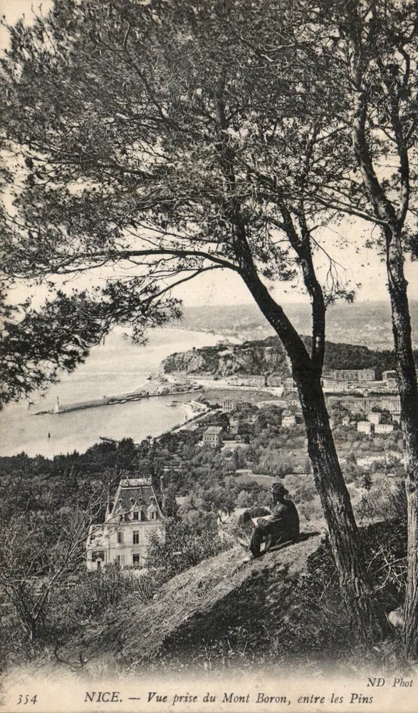 NICE — Ansicht von Mont Boron, zwischen den Kiefern — ND Phot, n° 354 - Vorderseite