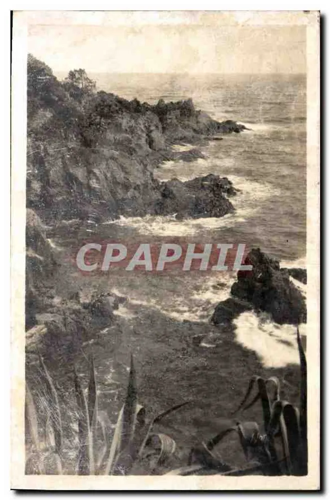 ला डूस - फ्रांस में ला रॉचर रूज़ डैंस ला मर ब्लैंच - ले एडिशन्स ड'आर्ट इव मार्टेल - आगे