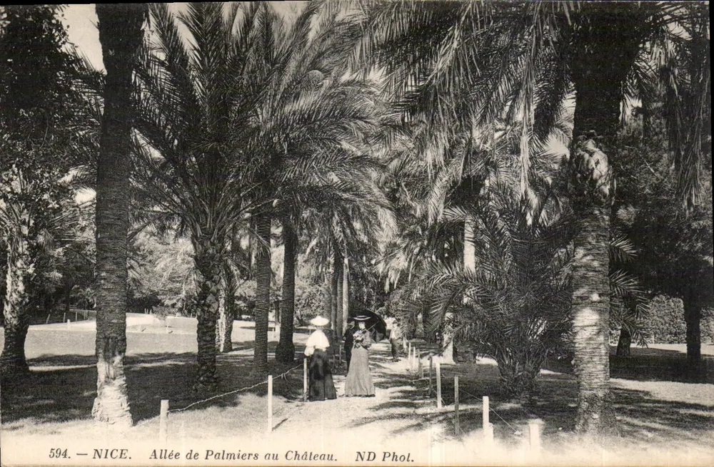 Nice — Avenida de Palmeiros no Castelo — ND Phol. n° 594 - Frente