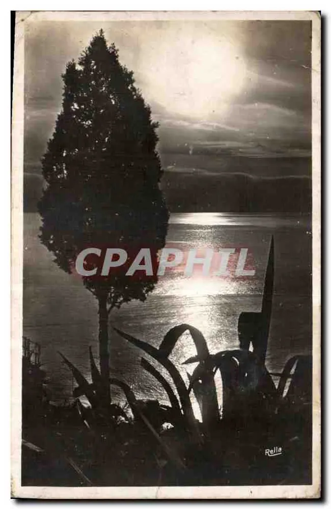 Costa Azul — Crepúsculo — Bella - Frente