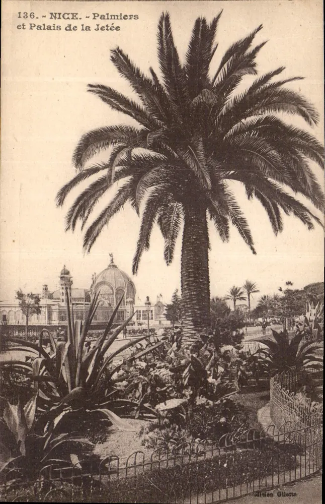 Nice - Palmier e Palácio da Jetée — Edição Gilletta, n° 136 - Frente