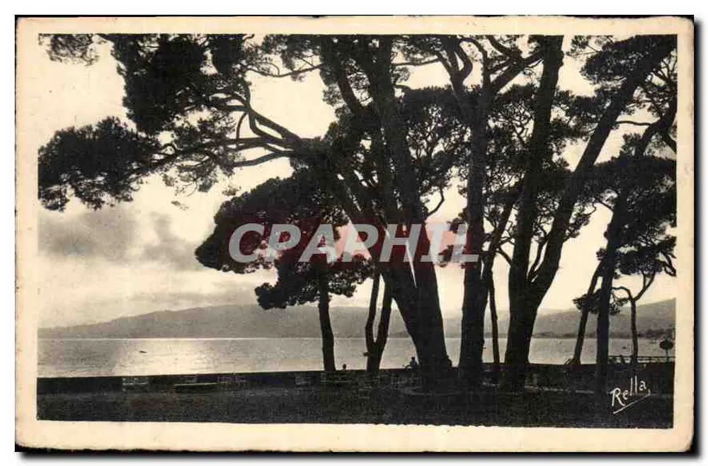 Ansicht der Kiefern von Juan-les-Pins — Verlag Rella, n° 402 - Vorderseite