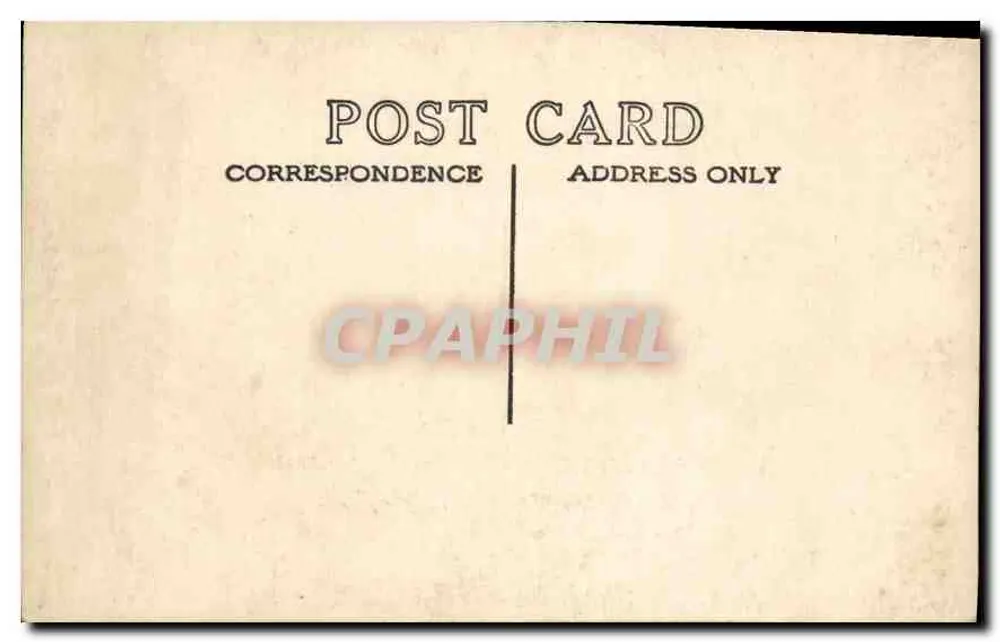 Cachorro em traje de baile — cena interior — carta postal anônima - Verso