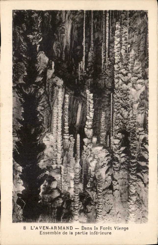L'Aven-Armand — In der Urwald — Untere Teil-Ensemble - Vorderseite