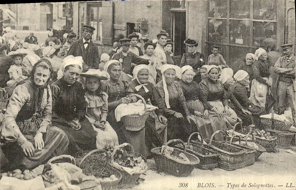 Blois — Tipos de Solognottes — LL. — n° 308 - Frente