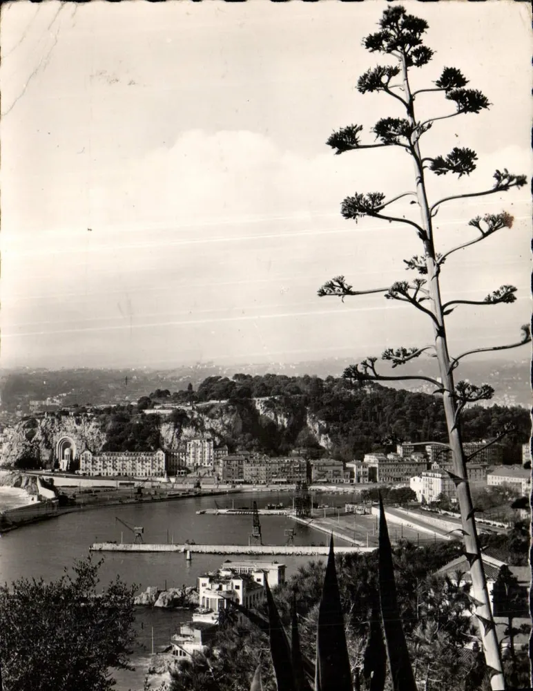 Nice - Vue générale sur le port et la colline du Château — Éditions Véritable, série 16-54 - Recto