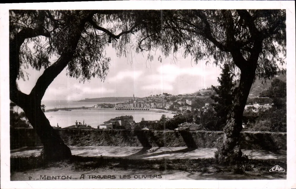 Menton — Através dos oliveiros — Editor C.A.P. - Frente