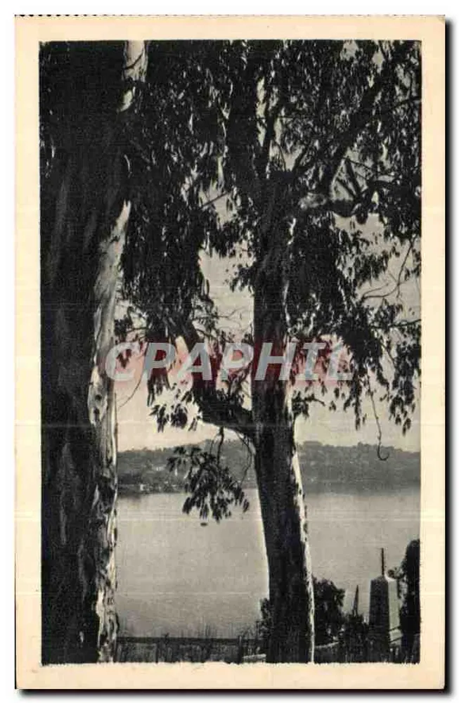 Vista do lago através de árvores — Alpes-Maritimes — Imp. R. Gendom, Paris - Frente