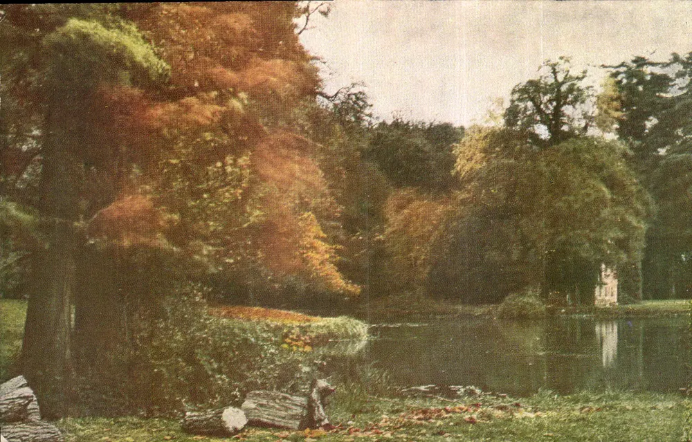 Castillo de Versalles — Vista del parque y del lago — Editor: Castillo de Versalles, n° 5808 - Anverso