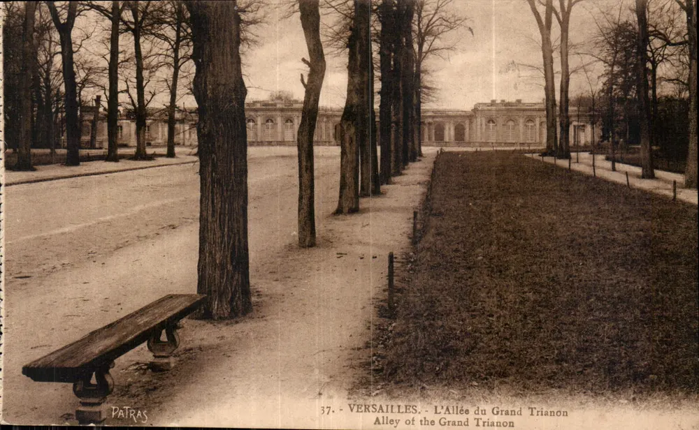 Versailles - A Avenida do Grande Trianon — Editor Patras, n° 37 - Frente