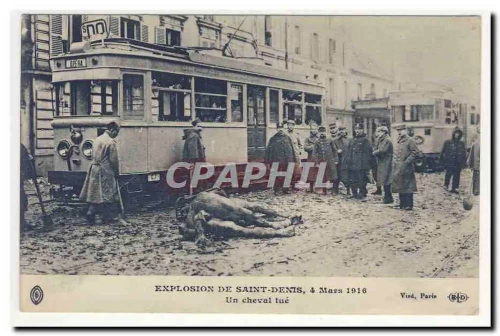 Explosion von Saint-Denis, 4. März 1916 — Ein getötetes Pferd — Viéé, Paris - Vorderseite