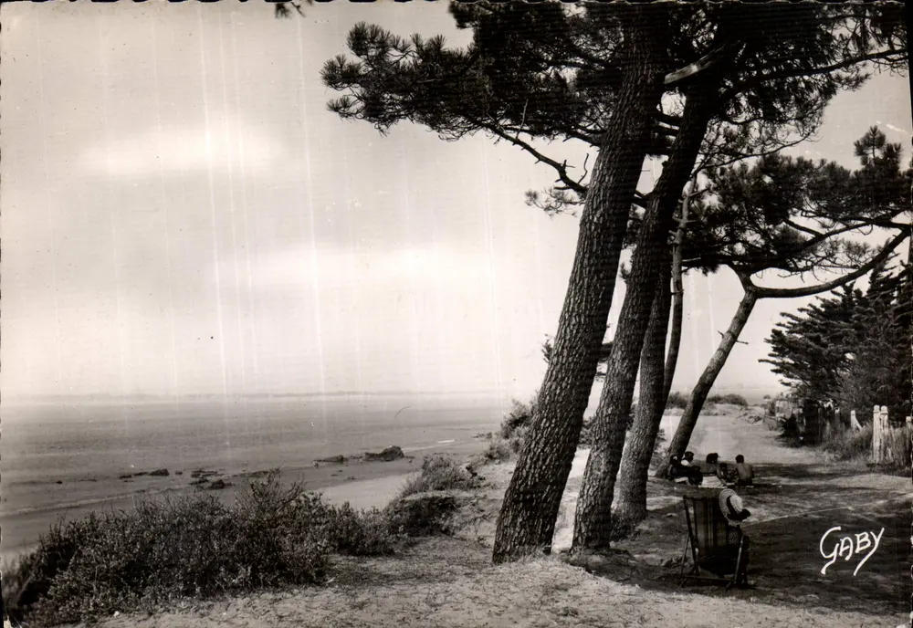 Saint-Brévin-l'Océan — La Plage du Pointeau et les Pins — Gaby - Recto