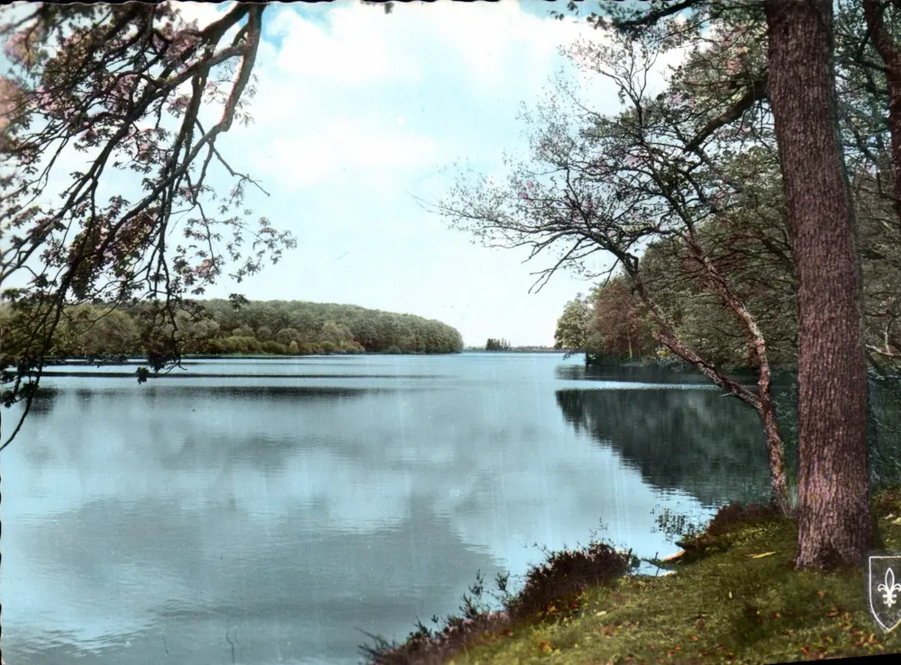 Woud van Tronquay — Meer van Pirot — uitgever SHROMOCOLOR - Voorkant