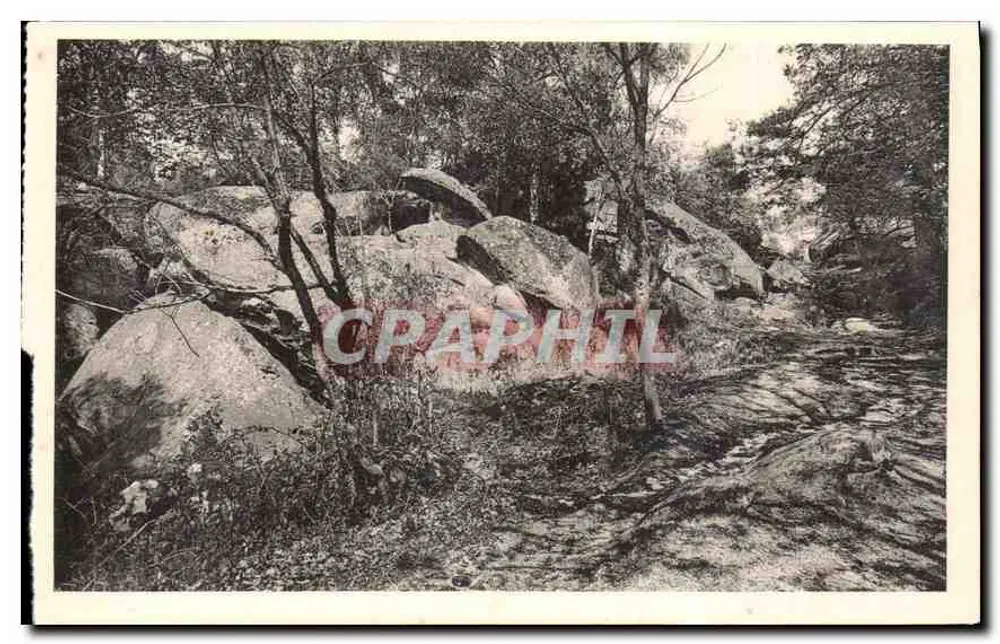 Les Gorges de Franchart — Forêt de Fontainebleau — Carte postale n°51 - Recto