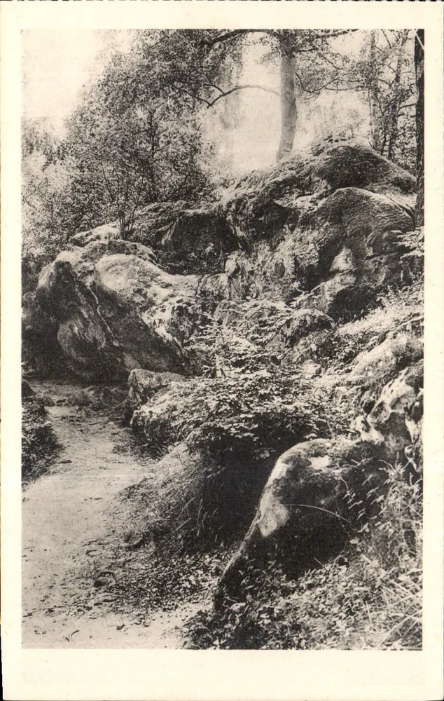 Floresta de Fontainebleau — La Roche Éponge — n°152 - Frente
