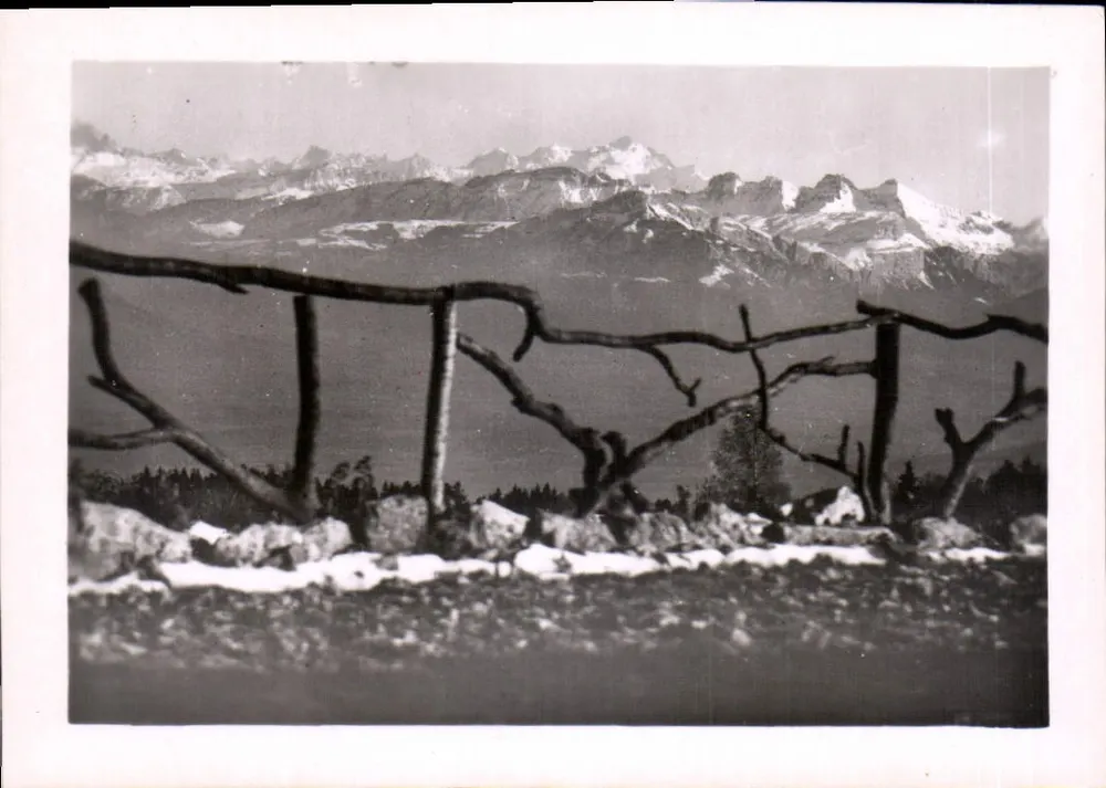 O Massif do Mont Blanc visto dos Treize-Arbres - Frente