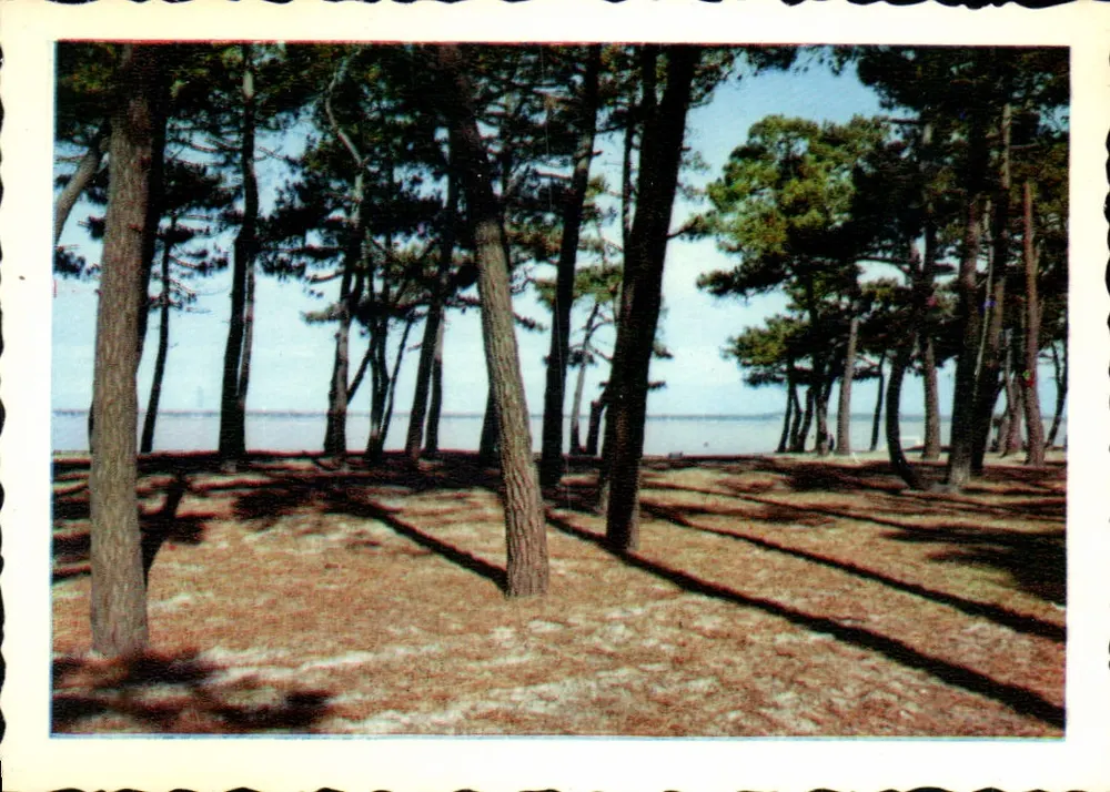 Pyla-sur-Mer — A Place Meller — Les Éditions Modernes Théojac, Limoges - Frente