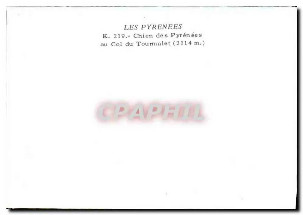 Chien au Col du Tourmalet — Pyrénées — Éditeur : J. Théry, n° de série K.219 - Verso