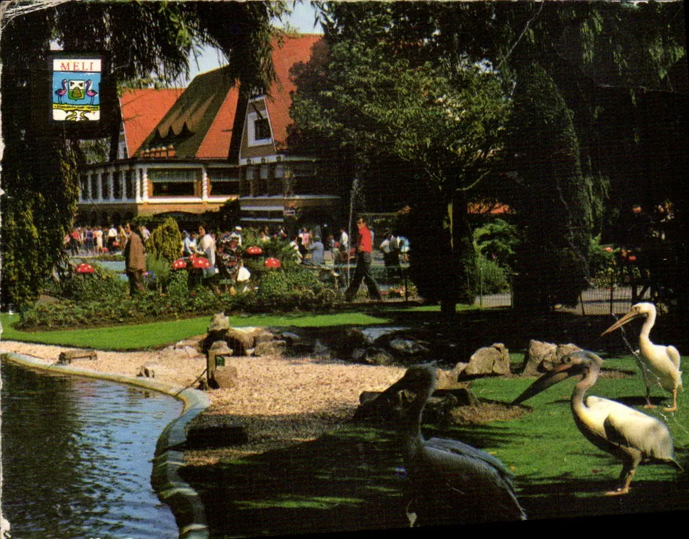 MELI-PARK ADINKERKE — Pelikanresidenz — Verleger - Vorderseite