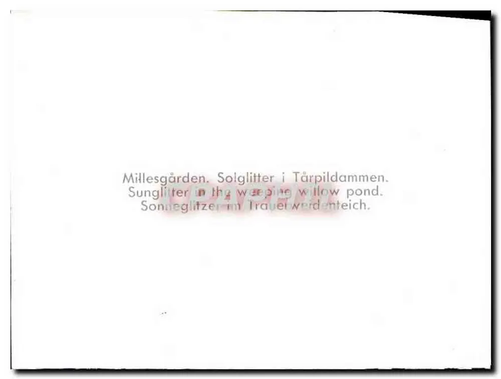 Millesgården — Solglitter i Tärpildammen — texte multilingue - Verso