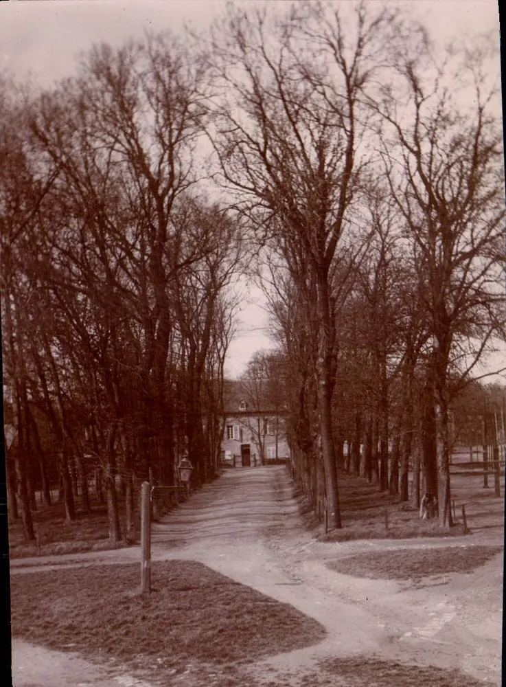 Allée de la Préfecture — vue d'automne — éditeur inconnu, n° de série non visible - Frente
