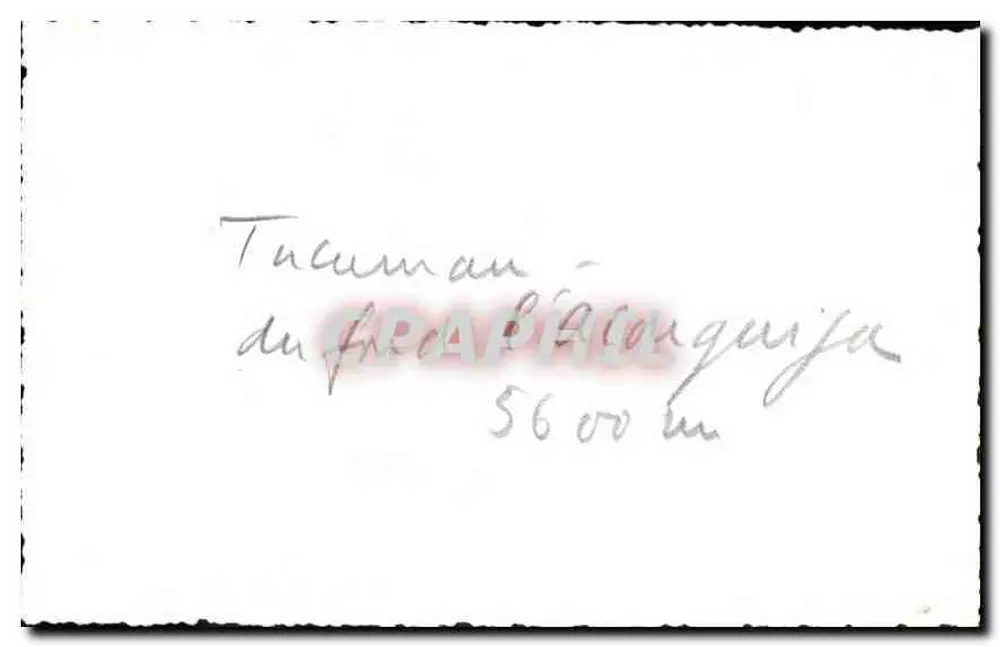तुकुमन – अंगूइला के फ्रिओ 5600 मीटर - पीछे
