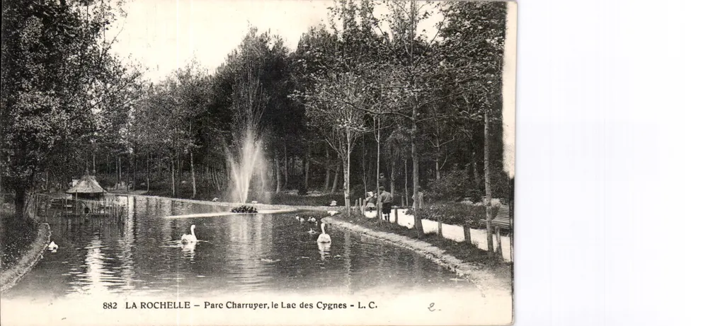 La Rochelle — Parc Charruyer, le Lac des Cygnes — L.C. n°882 - Recto