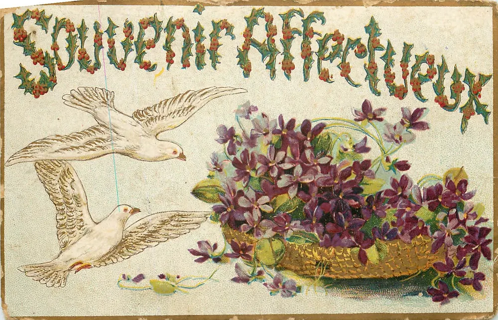 Duas pombas voando acima de um cesto de violetas — Lembrança Afetuosa — J.C. Paris - N° 1613 - Frente