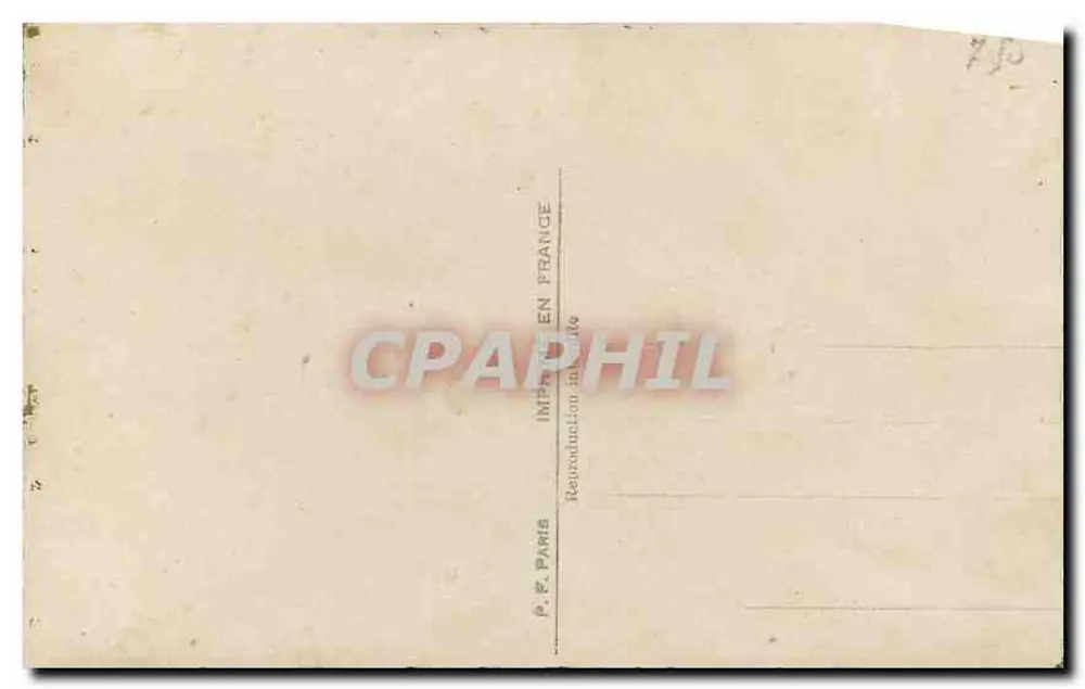 Arranjo de margaridas e lilás — editor P.F. n° 955 - Verso