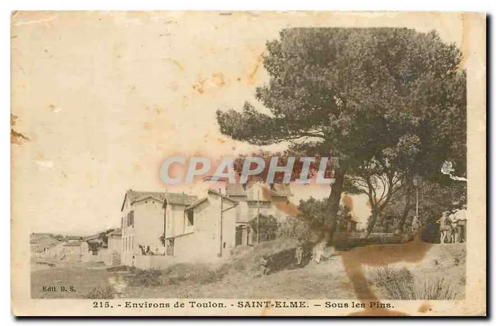 Saint-Elme — Sous les Pins — Edit. B.S. n°215 - Recto