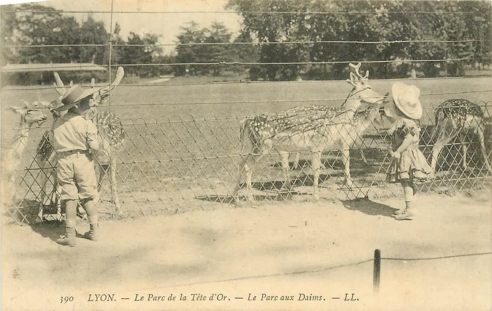 LYON — Der Park der Tête d'Or — Der Hirschpark — LL. - Vorderseite