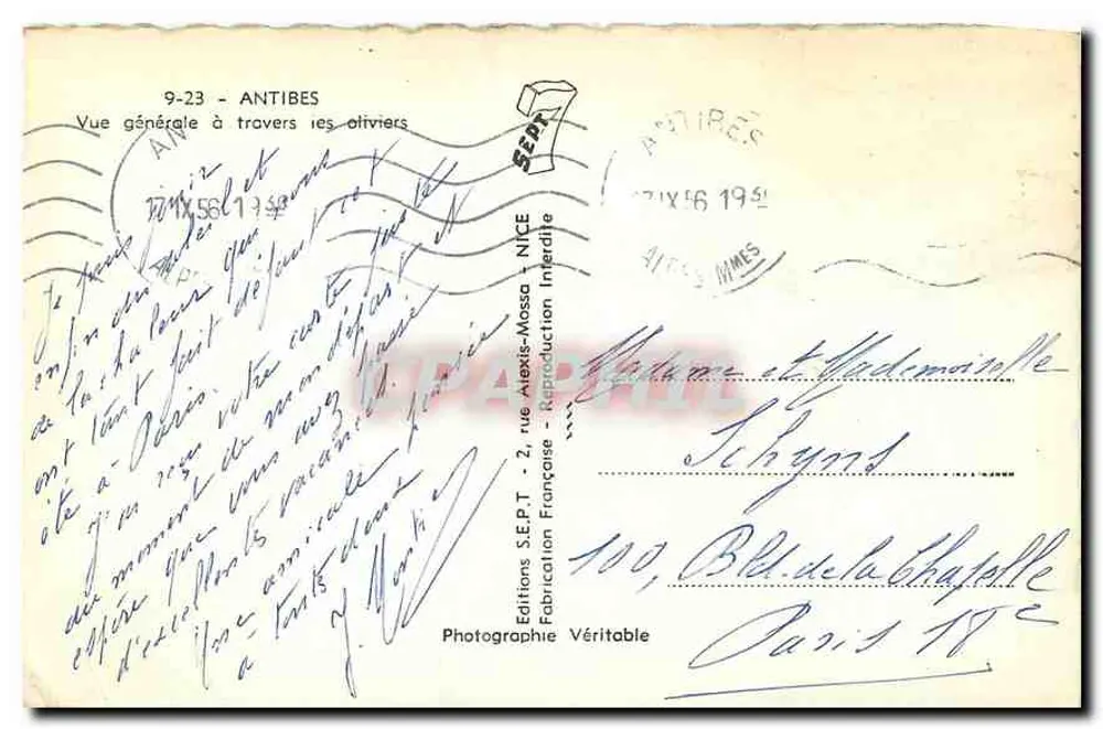 Antibes — Vue générale à travers les oliviers — Éditions S.E.P.T. - Reproduction Interdite - Verso