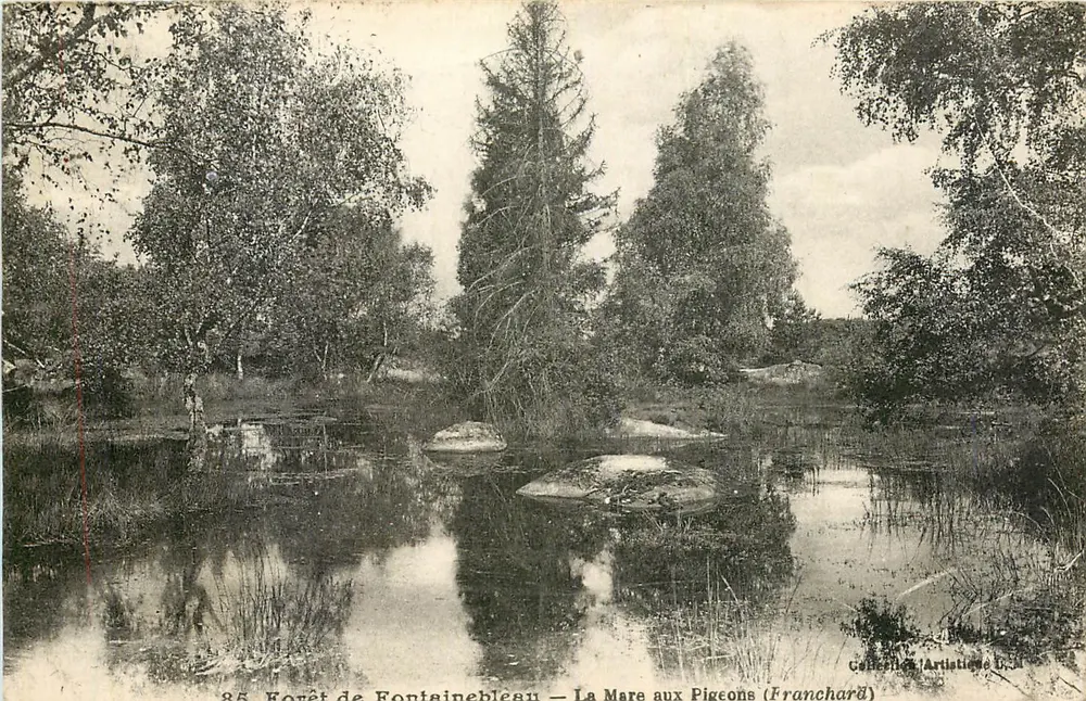 Forêt de Fontainebleau — La Mare aux Pigeons (Franchard) — Galerie Artistique L.21 - Recto